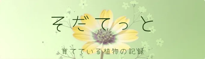 そだてっと